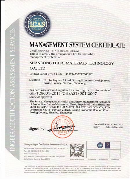 Chine Rogo Industrial (Shanghai) Co., Ltd. certifications